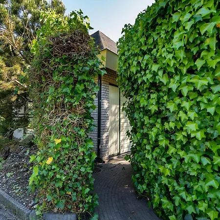 Feriehus Toekomst 59 - Not Intended For Company Or Work-related *