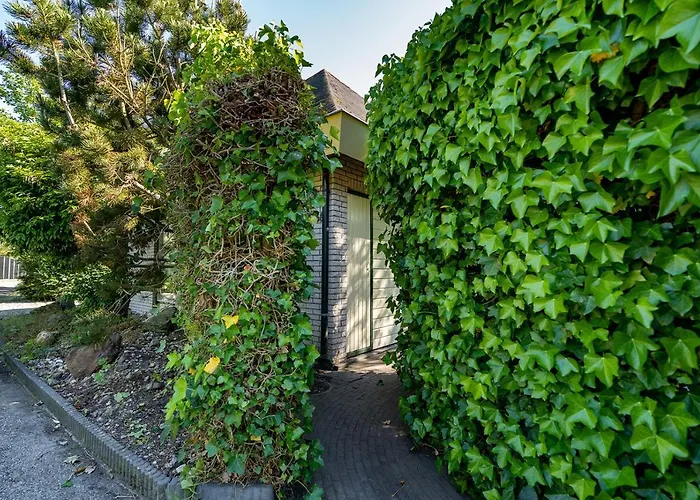 Nyaraló Toekomst 59 - Not Intended For Company Or Work-related *