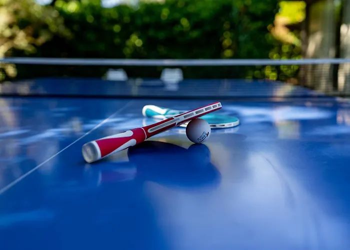 Toekomst 59 - Not Intended For Company Or Work-related * Ouddorp